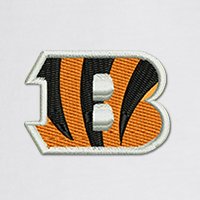 Swatch Color - cincinnati_bengals