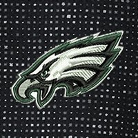 Swatch Color - philadelphia_eagles