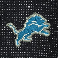 Swatch Color - detroit_lions
