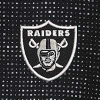 Swatch Color - las_vegas_raiders
