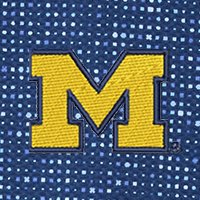 Swatch Color - Michigan