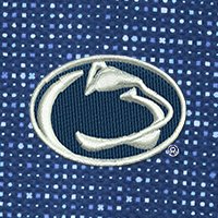 Swatch Color - penn_state