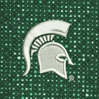 Swatch Color - michigan_state