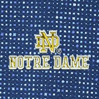 Swatch Color - notre_dame