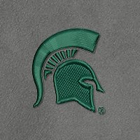Swatch Color - michigan_state