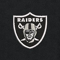 Swatch Color - las_vegas_raiders
