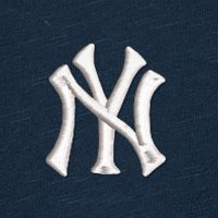 Swatch Color - new_york_yankees