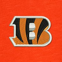 Swatch Color - cincinnati_bengals