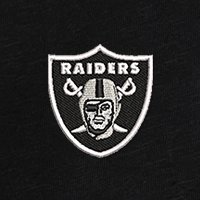 Swatch Color - las_vegas_raiders