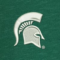 Swatch Color - michigan_state
