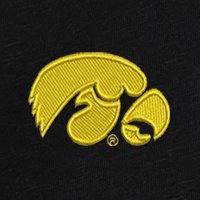 Swatch Color - iowa