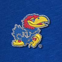 Swatch Color - Kansas