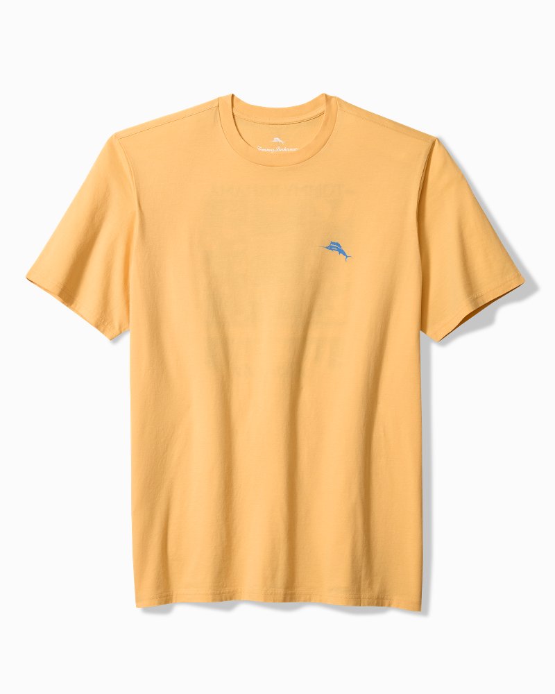 Tropic Block Graphic T-Shirt thumbnail 3