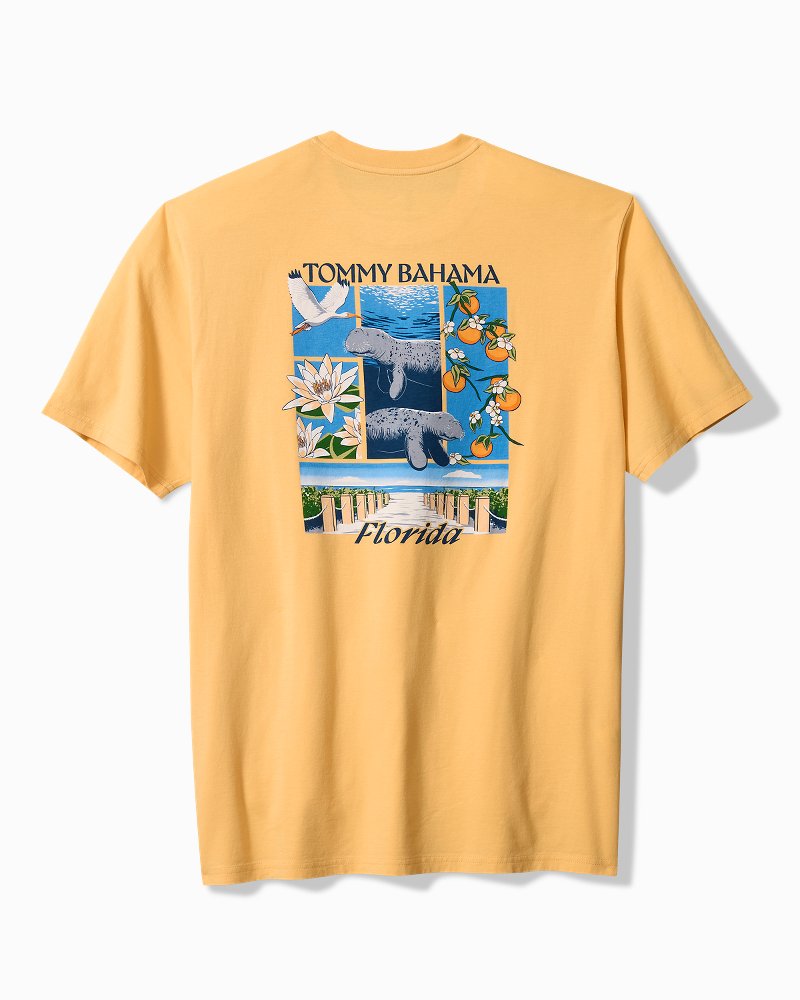 Tropic Block Graphic T-Shirt