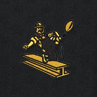 Swatch Color - pittsburgh_steelers