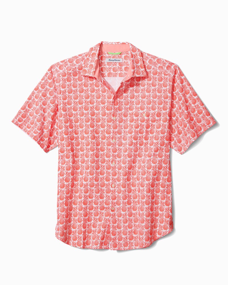 tommy bahama men's shirts clearance