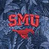 Swatch Color - southern_methodist