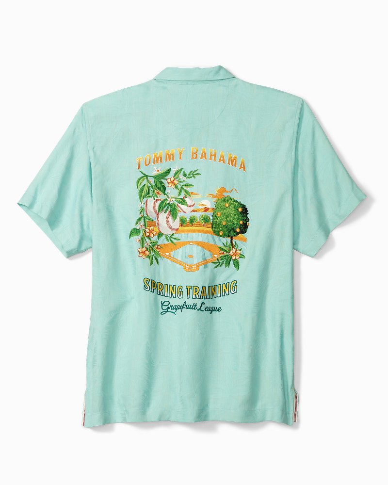 Mlb Orange Houston Astros Stadium Collections Hawaiian Shirt - Tagotee