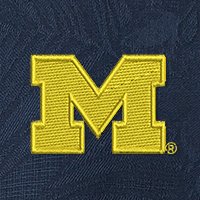 Swatch Color - michigan
