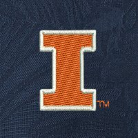 Swatch Color - illinois