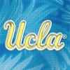 Swatch Color - ucla