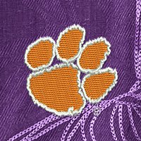 Swatch Color - clemson