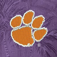 Swatch Color - clemson