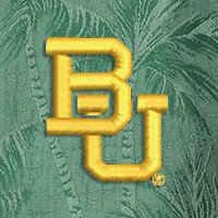 Swatch Color - Baylor