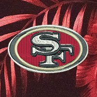 Swatch Color - san_francisco_49ers