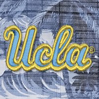 Swatch Color - UCLA