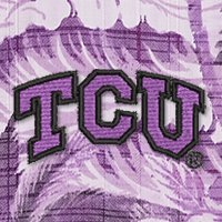 Swatch Color - TCU