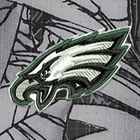 Swatch Color - philadelphia_eagles