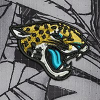 Swatch Color - jacksonville_jaguars