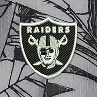 Swatch Color - las_vegas_raiders