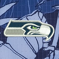 Swatch Color - seattle_seahawks