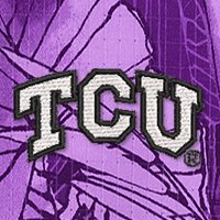 Swatch Color - TCU