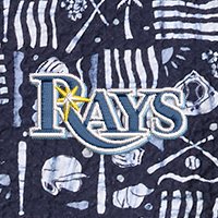 Swatch Color - tampa_bay_rays