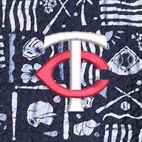 Swatch Color - minnesota_twins