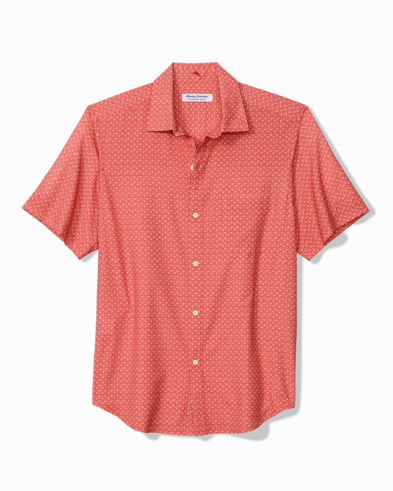 Bahama Coast Teeny Martini IslandZone Shirt