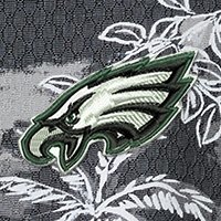 Swatch Color - philadelphia_eagles