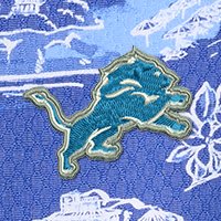 Swatch Color - detroit_lions