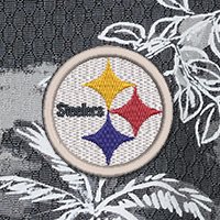 Swatch Color - pittsburgh_steelers