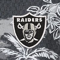 Swatch Color - las_vegas_raiders