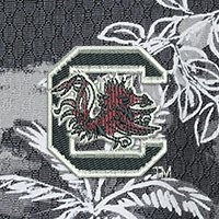 Swatch Color - south_carolina