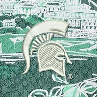 Swatch Color - michigan_state