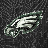Swatch Color - philadelphia_eagles