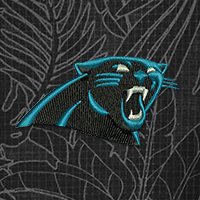 Swatch Color - carolina_panthers