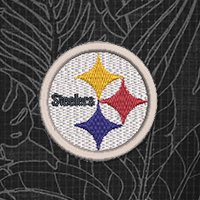Swatch Color - pittsburgh_steelers