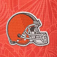 Swatch Color - cleveland_browns