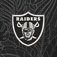 Swatch Color - las_vegas_raiders